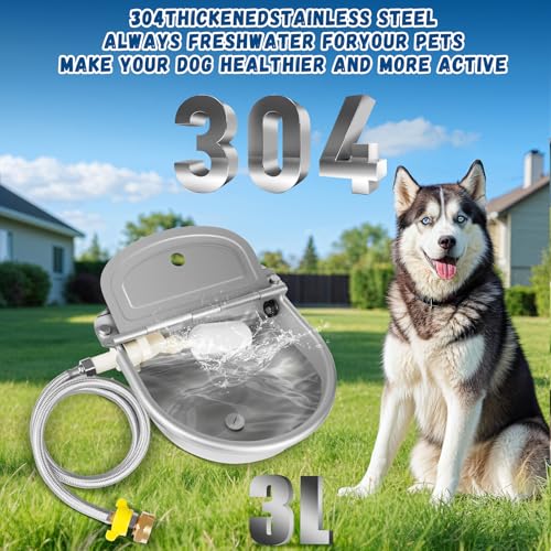 Automatic Water Dispenser for Dogs
