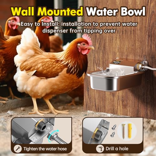 Automatic Water Dispenser for Dogs