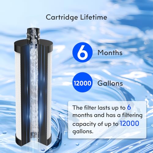 Carbon Shower Head Filter