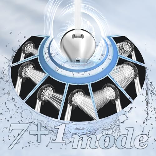 Filtered Shower Head with Handheld