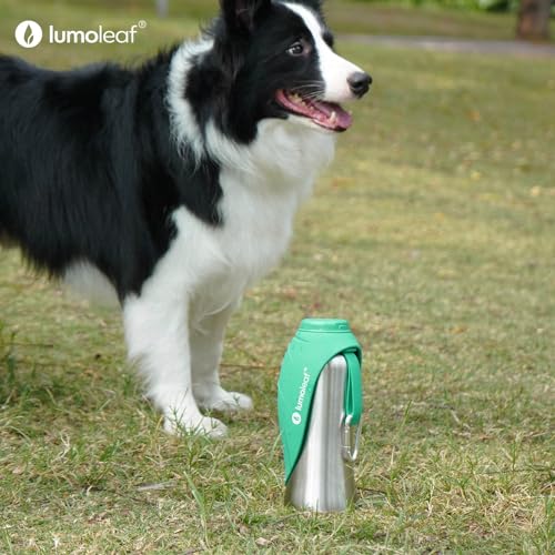 Portable Dog Water Bottle 27 OZ