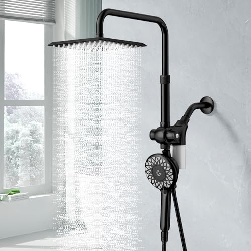 Filtered Rain Shower Head with Handheld Spray Combo