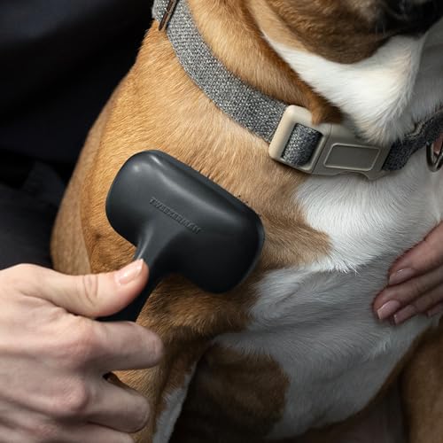 Slicker Brush for Small Pets