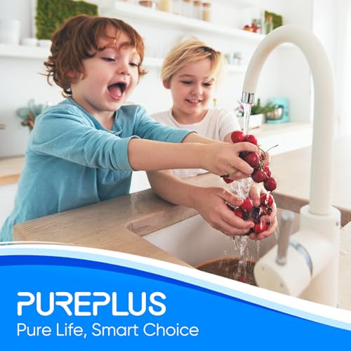 1 Stage Whole House Water Filter