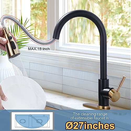 Black and Gold Kitchen Faucet with Sprayer