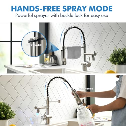 Kitchen Faucet with Pull Down Sprayer