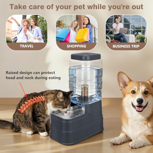 2.2 Gallon Pet Automatic Dog Water Dispenser Cat Gravity Waterer Feeder with Stainless Steel Bowl 8L Large Capacity Puppy Feeding Raised Bowls with Filter