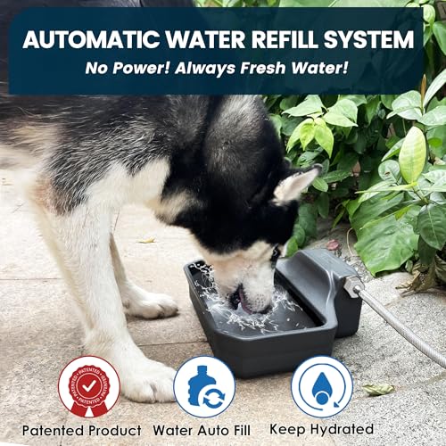 Automatic Dog Water Dispenser