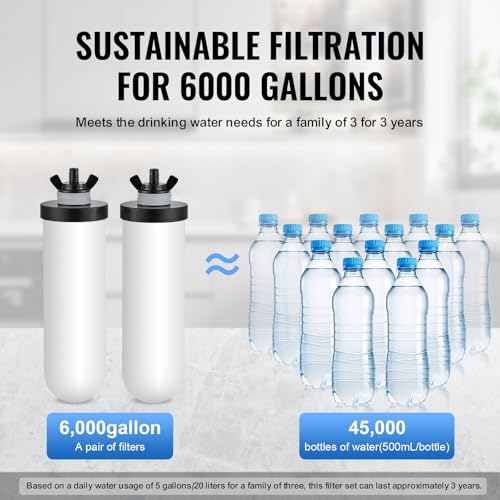 Gravity fed Water Filter System