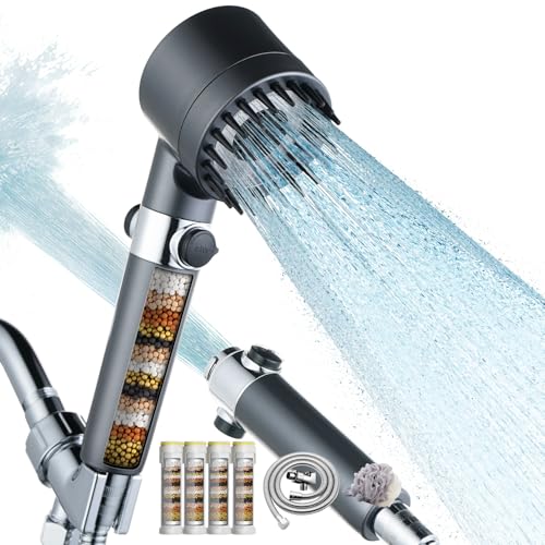 Filtered Shower Head with Handheld (4 Count)