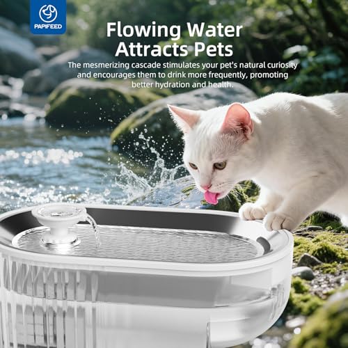 Cat Water Fountain Stainless Steel with a Silicone Mat