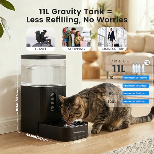 2.9 Gallon Automatic Dog Water Dispenser with Stainless Steel Bowl