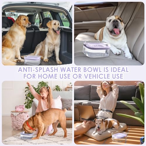3L No Spill Dog Water Bowl with Slow Drinking Disk