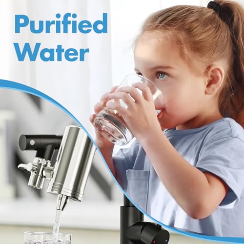 Black Kitchen Faucet with Water Filter