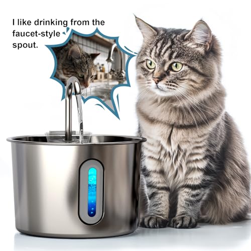 Cat Water Fountain