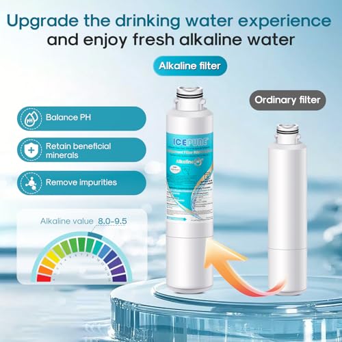 Alkaline DA29 (2 Count)