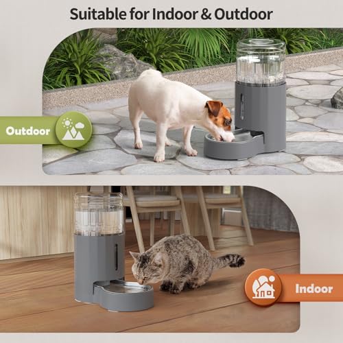 Cat Water Dispenser and Stainless Steel Bowl