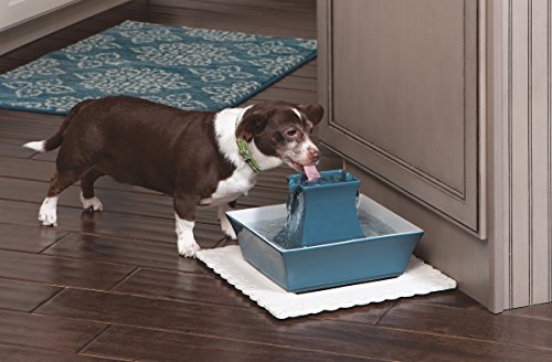 Cat and Dog Water Fountain