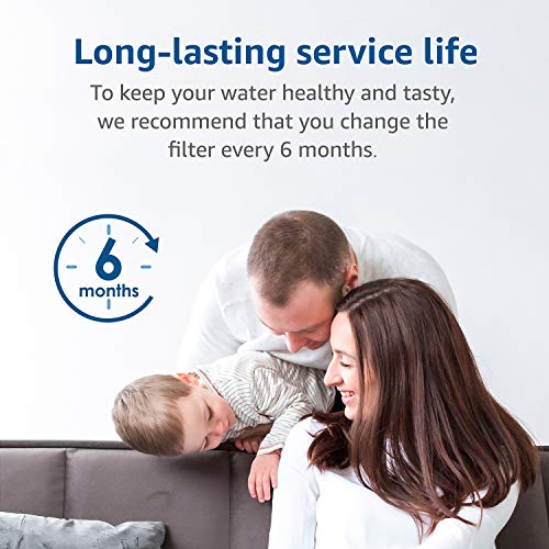 F 201R Water Filter Replacement for InSinkErator® F (2 Count)
