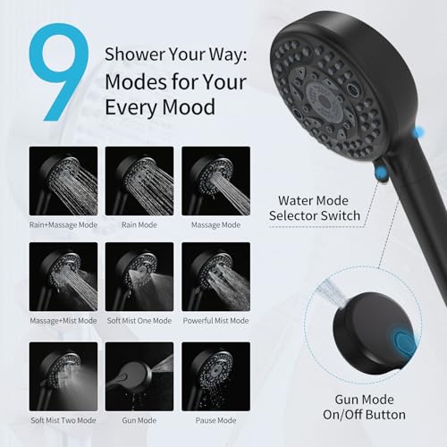Filtered Shower Head with Handheld