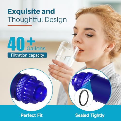 Pitcher Water Filter (4 Count)