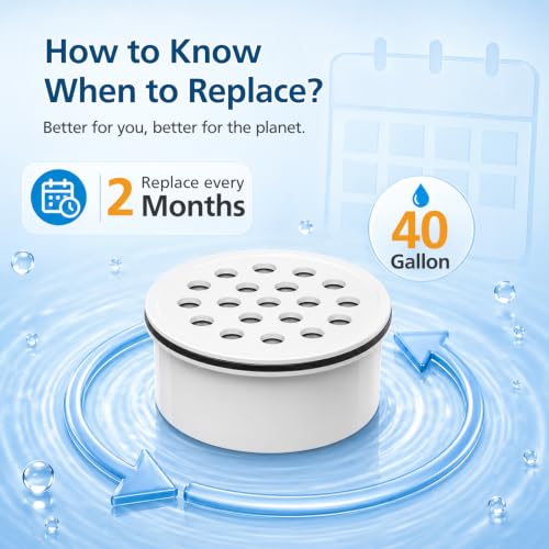 Water Pitcher Filter Replacement for LifeStraw Home (3 Count)