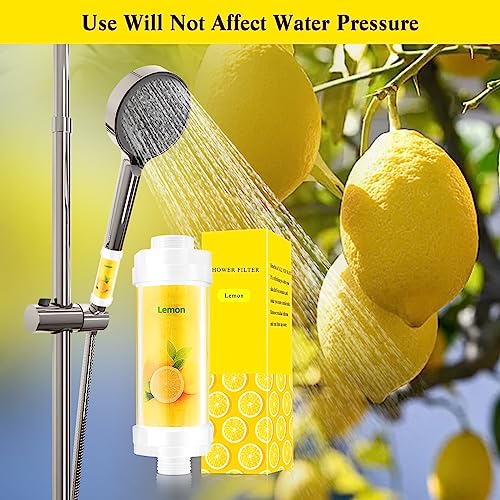 Vitamin C Shower Filter for Hard Water