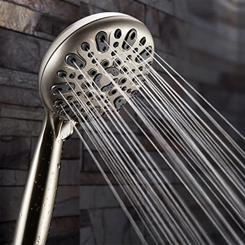 Handheld Shower Head