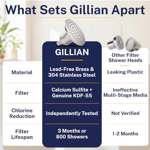 Gillian Filtered Shower Head for Hard Water