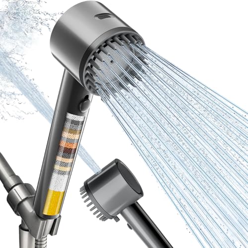 Filtered Shower Head with Handheld