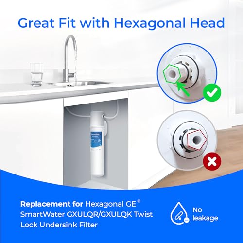FQK1R GXULQR Water Filter Replacement for GE FQK1R (2 Count)
