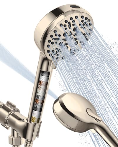 Filtered Shower Head with Handheld Brushed Nickel