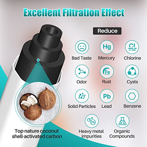 PLUS ADQ747935 NSF (2 Count)