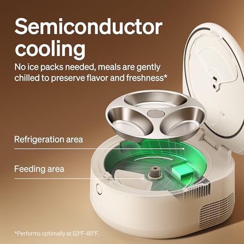 Automatic Cat Feeder Wet Food with Stainless Steel Bowl