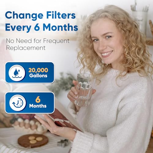 DW80 90 Under Sink Water Filter (2 Count)