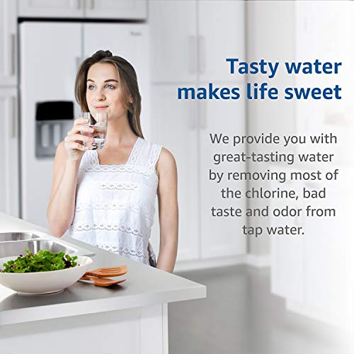 F 201R Water Filter Replacement for InSinkErator® F (2 Count)
