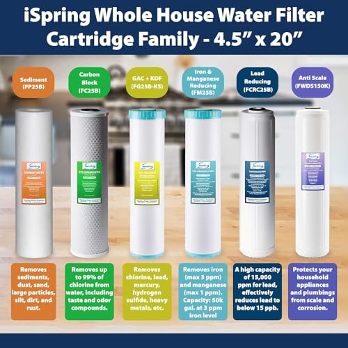 WGB12B 1 Stage Whole House Water Filtration System w