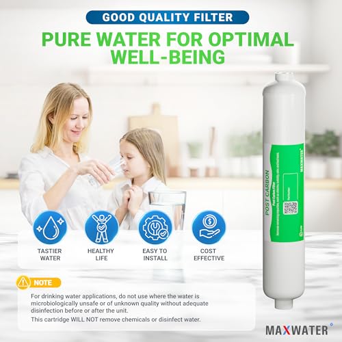 T33 Inline Water Filter (2 Count)