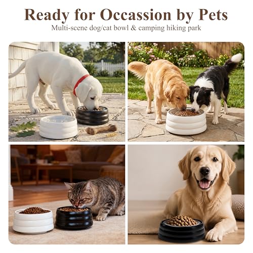 BOBO & Bowl Dog Water Bowl Food