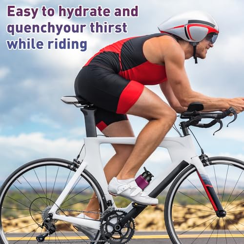 10 Pack Aluminum Water Bottles Bulk 17oz Dark Red (10 Count)