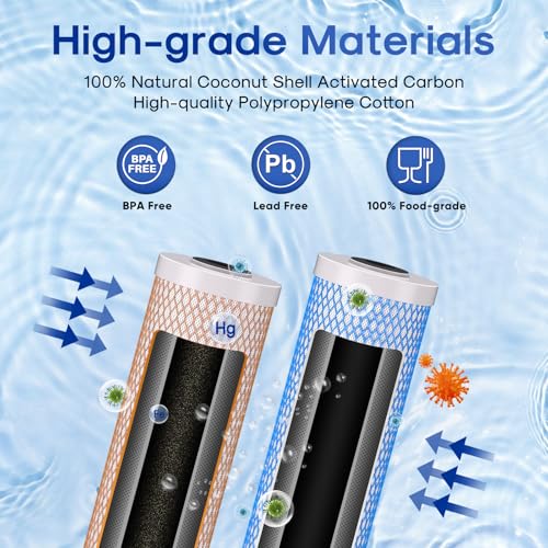 4.5"x 20" Whole House CTO Carbon Water Filter (2 Count)