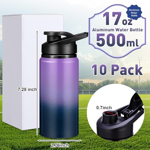 10 Pack Aluminum Water Bottles Bulk 17oz Dark Blue (10 Count)