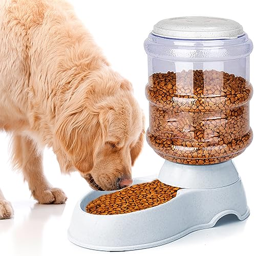 Automatic Dog Feeders