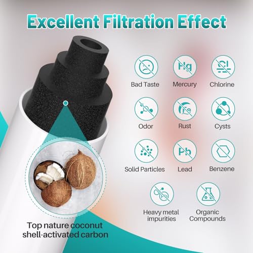 PLUS NSF53&42 Premium 5231JA2002A Refrigerator Water Filter (2 Count)