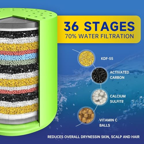 2 Pcs Shower Filter (2 Count)
