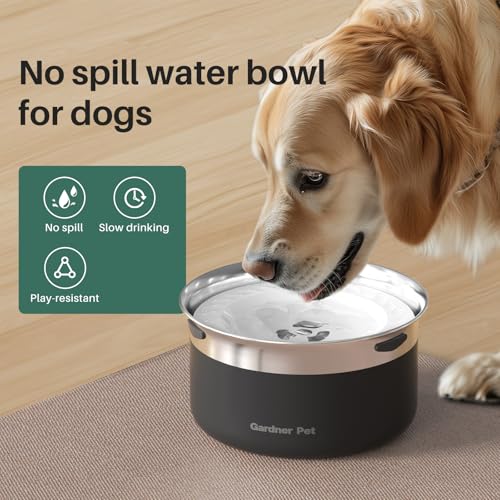 Slow Water Bowl for Dogs