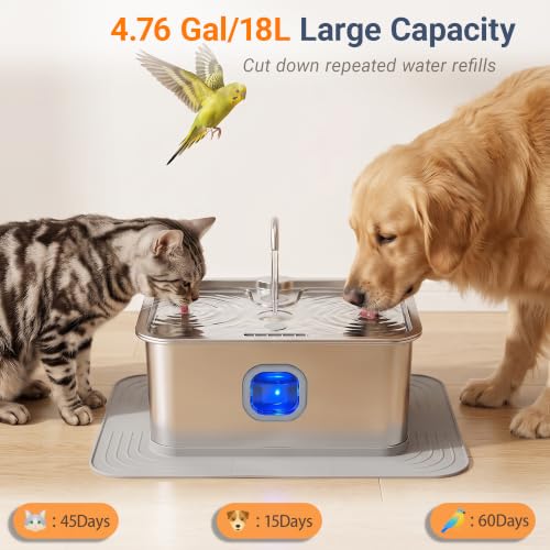 18L 4.76Gal Large Dog Water Fountain