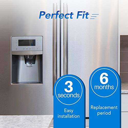 5231JA2002A Refrigerator Water Filter (4 Count)
