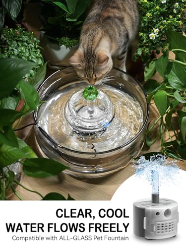 All Glass Cat Water Fountain