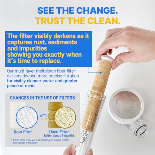 Showerhead Replacement Filters Inspired By Korea's Beauty Culture (5 Count)